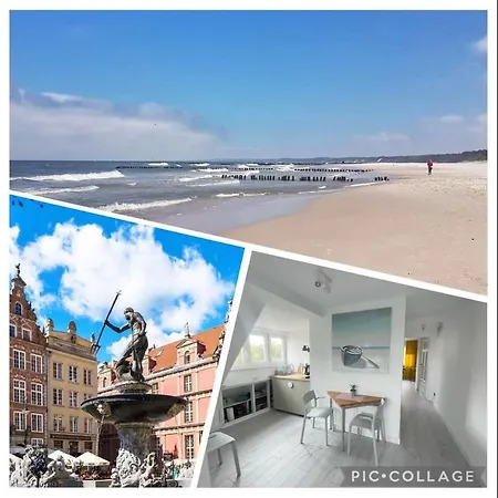 Jodłowa Stogi Gdańsk