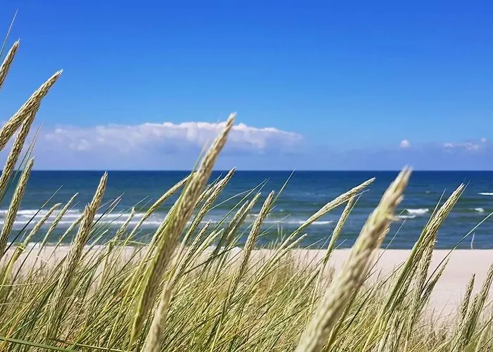 דירה Jodlowa Stogi