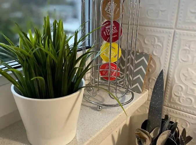 Jodlowa Stogi アパート *